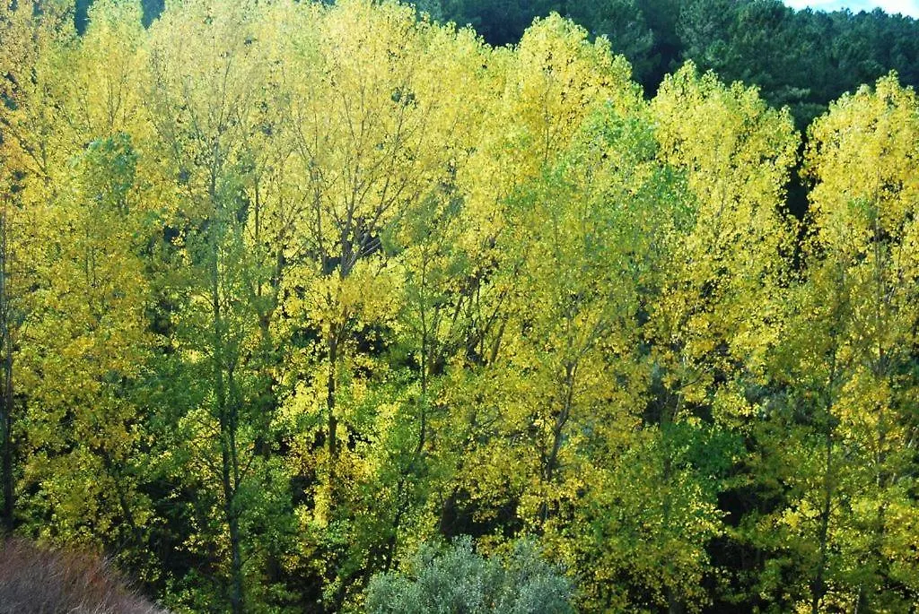 El Alojamiento Rural De Peter Aracena Venkovský dům